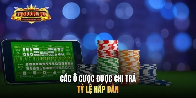 Các ô cược được trả tỷ lệ hấp dẫn