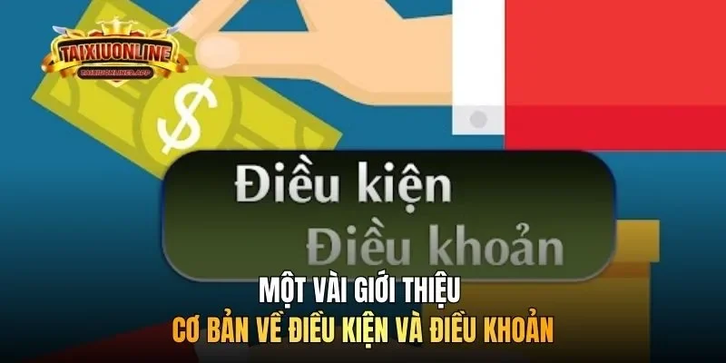 Một vài giới thiệu cơ bản về điều kiện và điều khoản