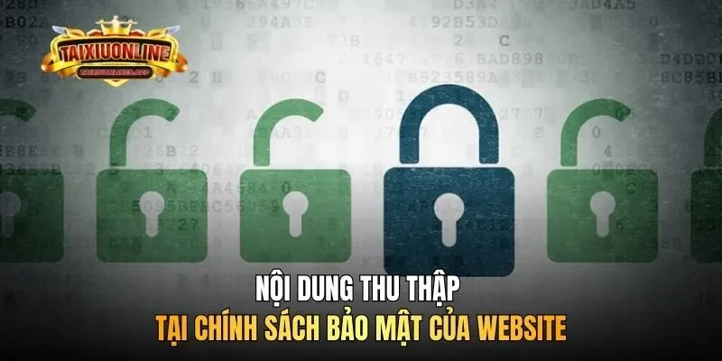 Nội dung thu thập tại chính sách bảo mật của website