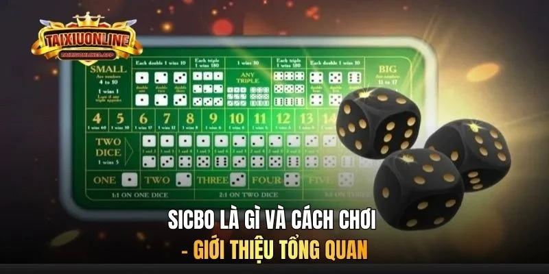 Sicbo là gì và cách chơi - Giới thiệu tổng quan