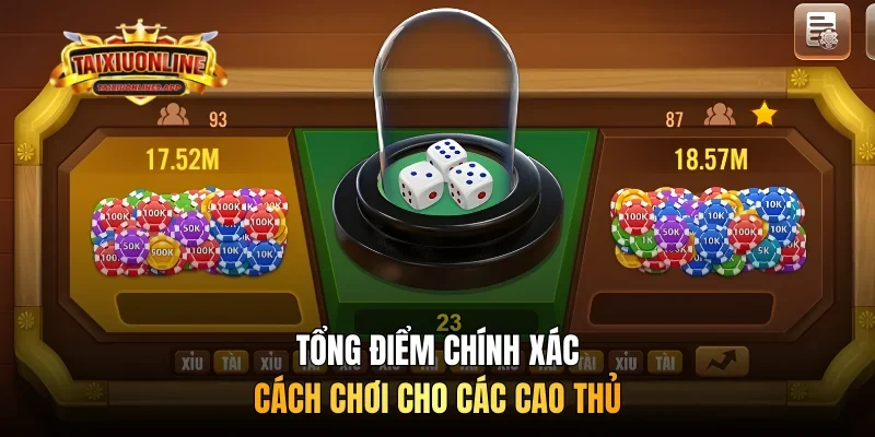 Tổng điểm chính xác - Cách chơi cho các cao thủ